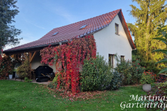 2024_Schauer_vorher004