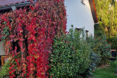 2024_Schauer_vorher005