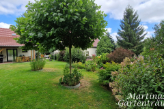 2025_Garten_im_August_002