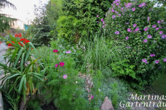 2025_Garten_im_August_003