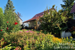 2025_Garten_im_August_004