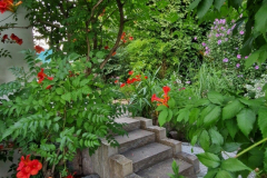 2025_Garten_im_August_005