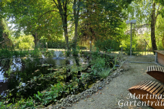 2025_Garten_im_August_006