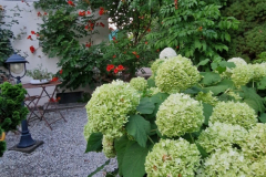 2025_Garten_im_August_007