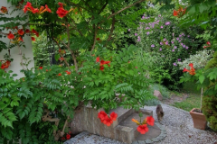 2025_Garten_im_August_008