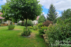 2025_Garten_im_August_009