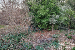 Der Vorgarten sieht noch wüst aus.