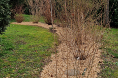 Die Hecke ist gestylt.