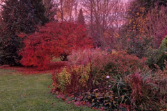 2025_November033