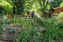 2025_Offener_Garten_024