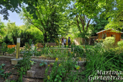 2025_Offener_Garten_025