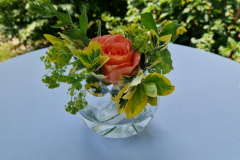 2025_Offener_Garten_057