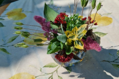 2025_Offener_Garten_058