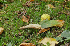 2025_Oktober_042