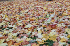 2025_Oktober_081