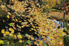 2025_Oktober_083