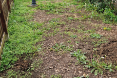 2026_Dahliengarten_Vorbereitungen002