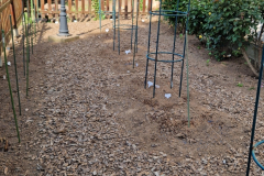 2026_Dahliengarten_Vorbereitungen013