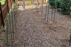 2026_Dahliengarten_Vorbereitungen014