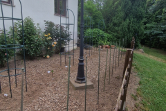 2026_Dahliengarten_Vorbereitungen015