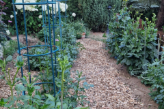 2026_Dahliengarten032