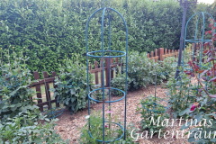 2026_Dahliengarten034