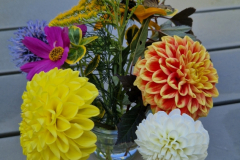 2025_Dahlien_August_018