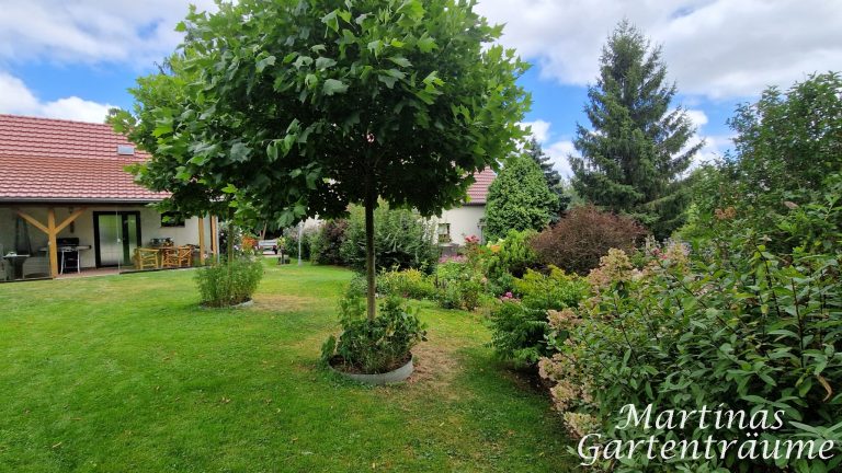 Garten im August 2025