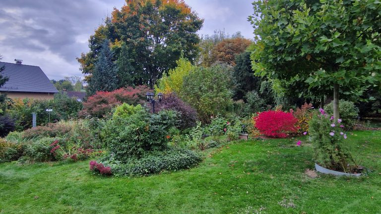 Garten im Oktober 2025
